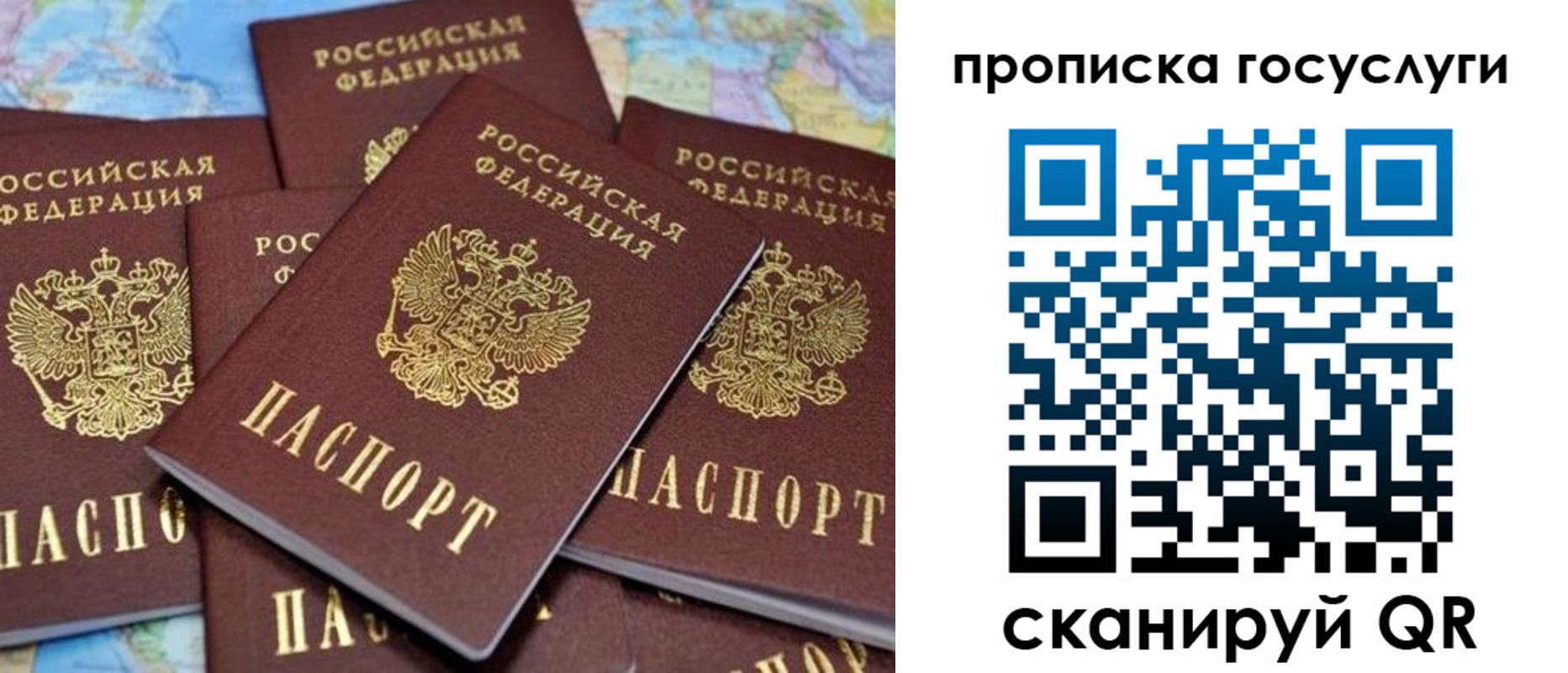 временная регистрация для всех в Белгородской области